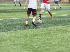 粤港澳大湾,广东,东盟体育联,乐鱼体育官方,乐鱼体育在线官网,乐鱼体育线上,乐鱼体育APP