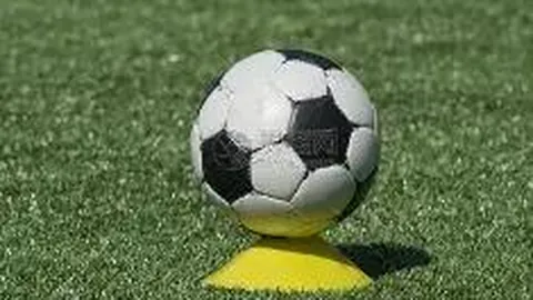 乐鱼体育 资讯 104325 7ao