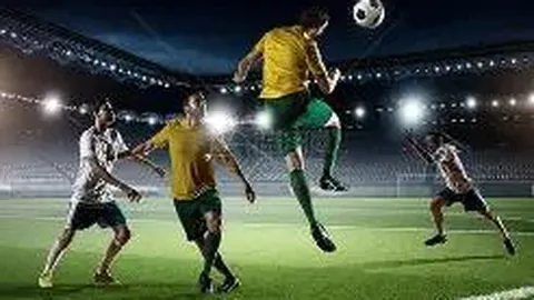 乐鱼体育 资讯 104228 285